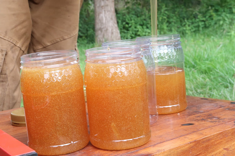 Honey from Mau Eburu Forest.