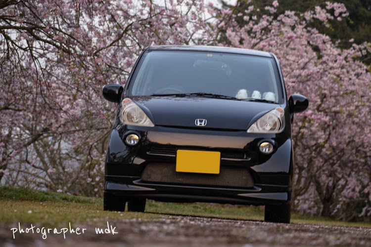 ライフの夜桜・桜と愛車・桜・ピックアップに選ばれたい・ピックアップチャレンジ✨に関するカスタム事例の投稿画像3枚目
