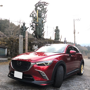 CX-3 DKEFW