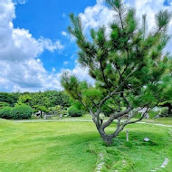 澄霖沉香味道森林館