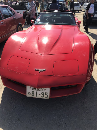 300 の西日本オールドカーフェスティバル ブルーバード510 アメ車 鹿児島に関するカスタム メンテナンスの投稿画像 車のカスタム情報はcartune