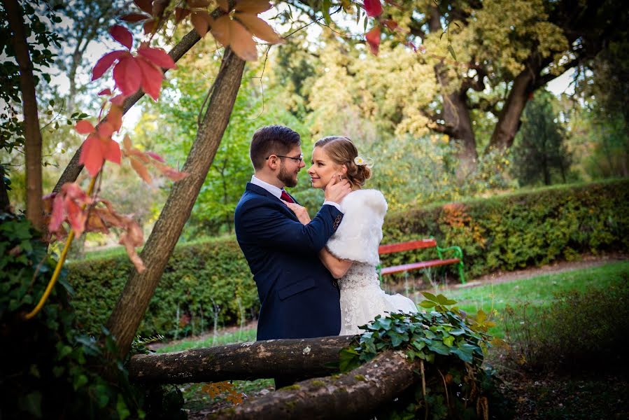 Fotografer pernikahan Timmer László (timmerfotostudio). Foto tanggal 28 Oktober 2019