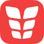 VGFIT ABS 1.4 Icon