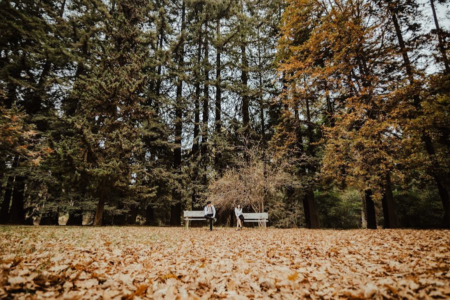 Wedding photographer Andrés Ubilla (andresubilla). Photo of 22 May 2018