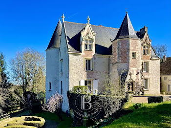 château à Amboise (37)