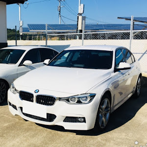 320i M Sport (F30)