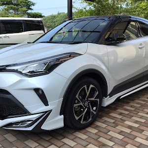 C-HR ZYX11