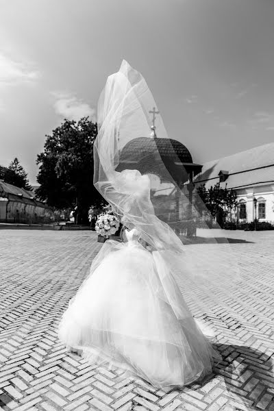 Fotógrafo de bodas Tatyana Shishigina (tanyashishigina). Foto del 6 de junio 2019