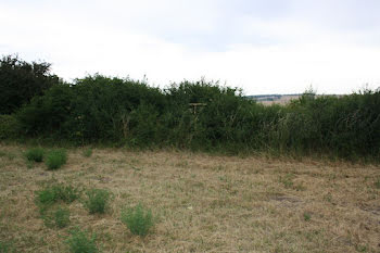 terrain à Auxerre (89)