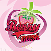 Mahabaleshwar Berry Bash, Kothrud, Pune logo