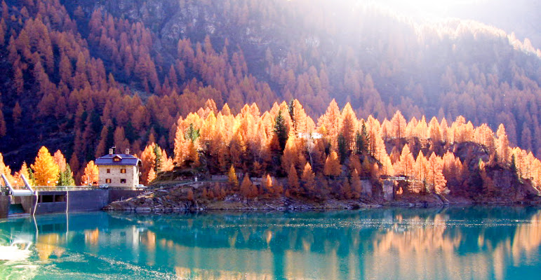 I larici in autunno a Pian Palù di Welj