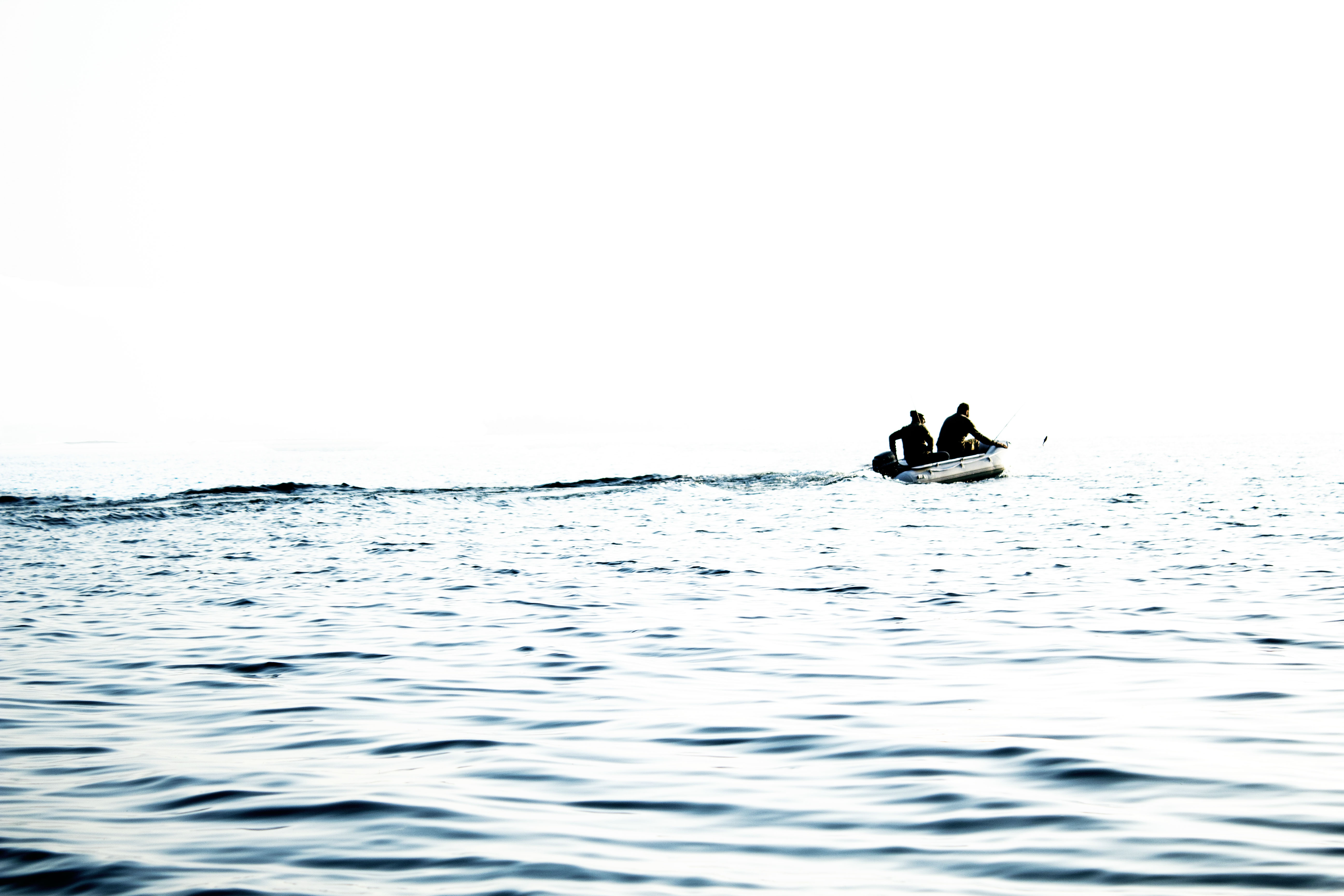 ancora in pericolo pesciolino di ðŸŒ±