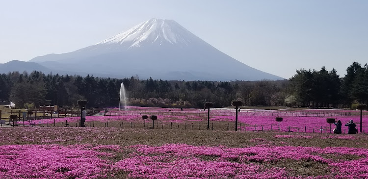 の投稿画像3枚目