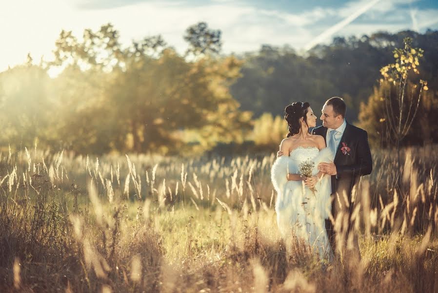 Photographe de mariage Roman Isakov (isakovroman). Photo du 14 novembre 2012