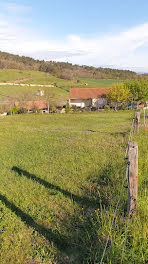 terrain à Saint-Laurent-Chabreuges (43)