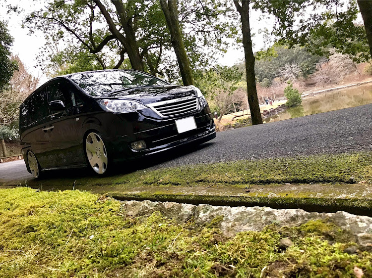 ステップワゴンの奈良・ドライブ・愛車撮影・苔・奈良公園に関するカスタム事例の投稿画像2枚目