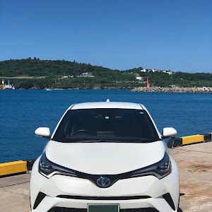 C-HR ZYX10