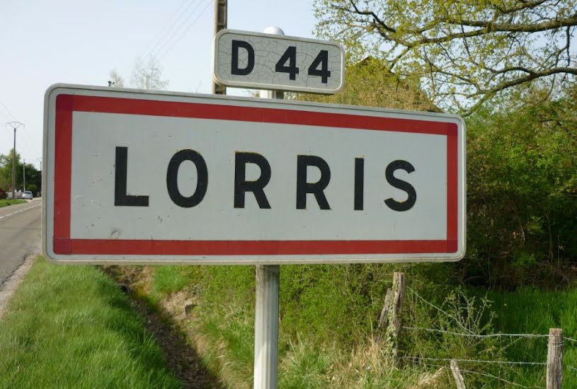  Vente Terrain à bâtir - à Lorris (45260) 