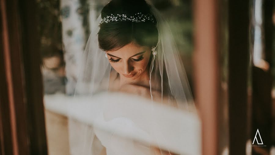 Wedding photographer Andrés Anzaldo (anzaldofotografo). Photo of 3 August 2019