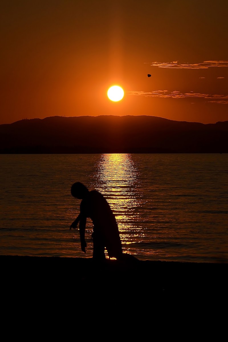 Fino a toccare il cielo di Wilmanna