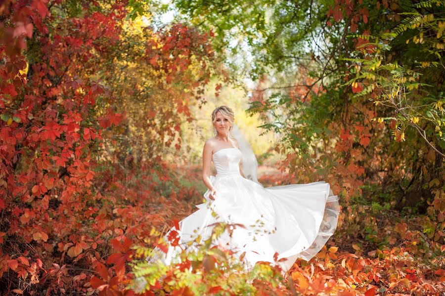 Fotografo di matrimoni Svitlana Minakova (minakova). Foto del 5 ottobre 2019