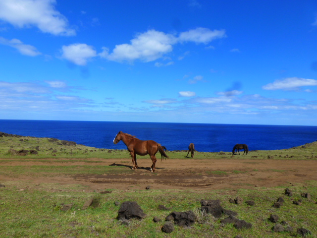 ISLA DE PASCUA. AMANECER EN AHU TONGARIKI. INTERIOR DE LA ISLA. COSTA OESTE - CHILE, de Norte a Sur con desvío a Isla de Pascua (18)