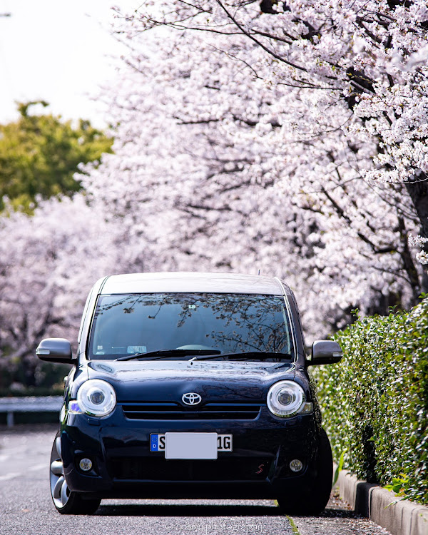 シエンタの上質シンプル・discover＿ct・目指せPickUpCars・PickUpCarsで会いましょう・桜とコラボに関するカスタム事例の投稿画像1枚目