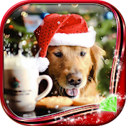 Christmas Dogs Live Wallpaper 1.0.4 Icon