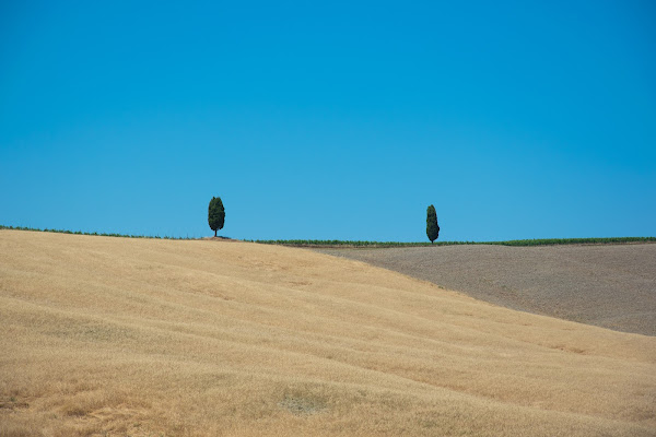 Estate in Val D'Orcia  di Teti_G