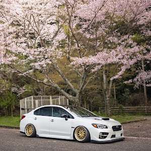 WRX STI VAB