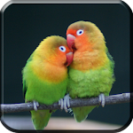 Master Kicau Lovebird Apk