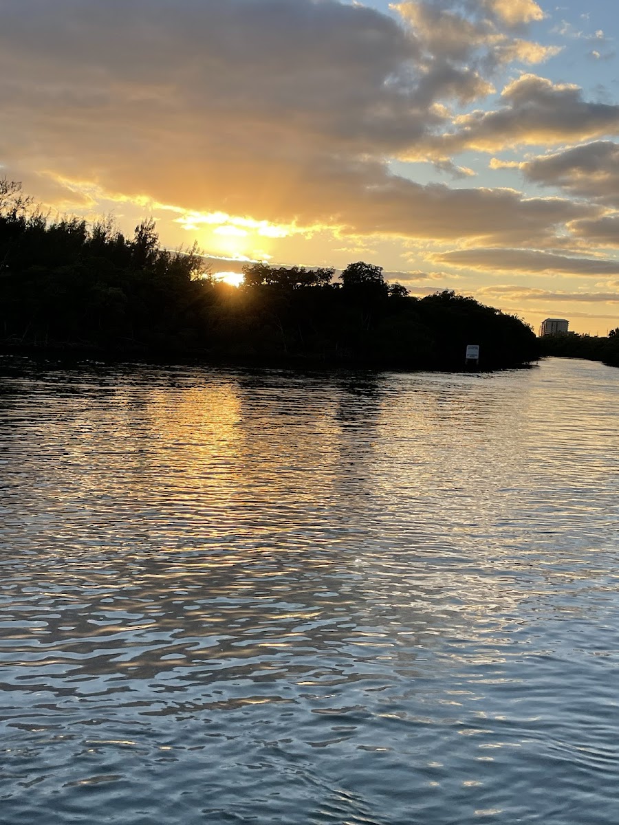 View from my table at sunset