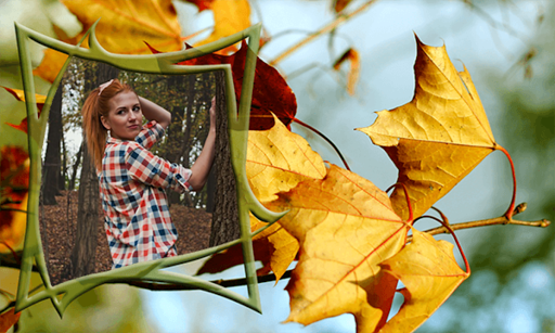 All Season Photo Frames