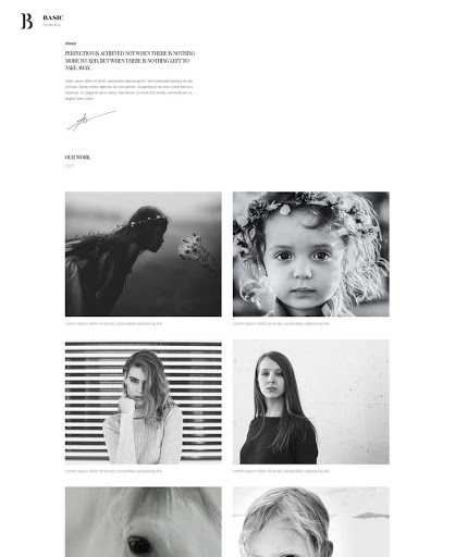 Build a Gallery plus Website