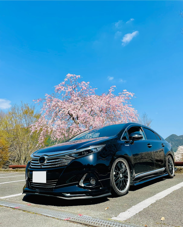 SAIの桜と愛車・桜コラボ・SAI・ドライブに関するカスタム事例の投稿画像1枚目