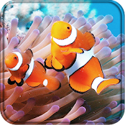 Clownfish 3D Live Wallpaper  Icon