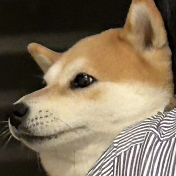 匿名O