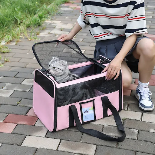 Dog Carrier Bag Soft Side Backpack Cat Pet Carriers Airline Approved Transport Dog Outgoing Travel Bags For Small Dogs 