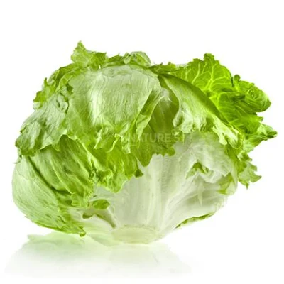 Lettuce Iceberg 1 Kg