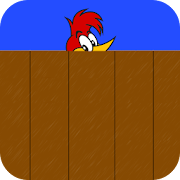 Woodpecker videos 1.1 Icon