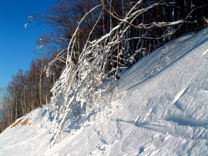 Lieve come la neve di r.scarpone