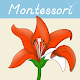 Montessori Botany - Parts of Plants Download on Windows