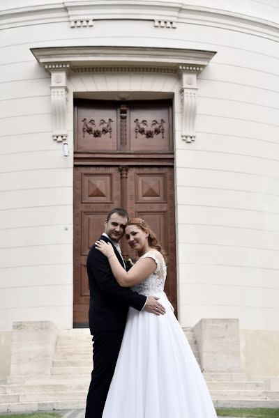 婚禮攝影師Bettina Molnar（bunnyearsphoto）。2020 1月11日的照片