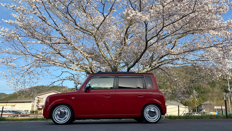 アルトラパンのアルトラパン HE21S・ラパン・ラパン乗りと繋がりたい・桜と愛車・桜とコラボに関するカスタム事例の投稿画像2枚目