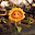 Plants Vs Zombies 2 Wallpapers and New Tab