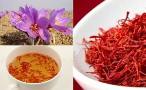 Saffron tác dụng chữa bệnh thần kỳ cho con người