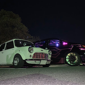 ミニ