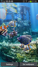 The Real Aquarium Live Wallpaper Apps On Google Play