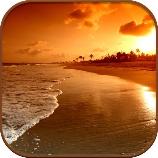 HD Beach Sunset Live Wallpaper
