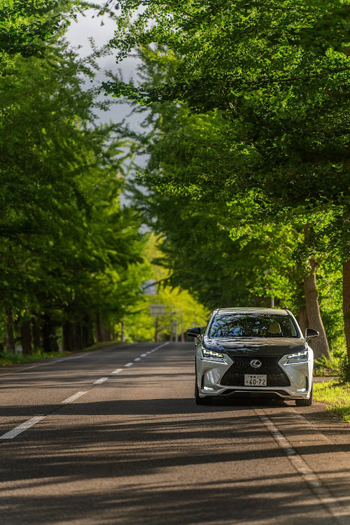 NXのLEXUS・LMG・ピックアップにゃ程遠い(笑)・一眼初心者、勉強中・残暑厳しいに関するカスタム事例の投稿画像2枚目